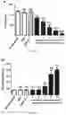 Fig. 22 - Synthetic platelets