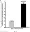 Fig. 25 - Synthetic platelets