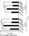 Fig. 27 - Synthetic platelets
