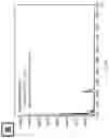 Fig. 32 - Synthetic platelets