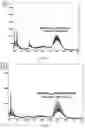 Fig. 35 - Synthetic platelets