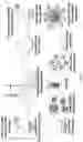 Fig. 41 - Synthetic platelets