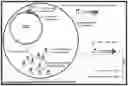 Fig. 01 - Microorganisms and methods for producing biologics and introducing biologics to sites