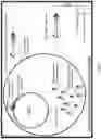 Fig. 02 - Microorganisms and methods for producing biologics and introducing biologics to sites