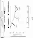 Fig. 06 - Microorganisms and methods for producing biologics and introducing biologics to sites
