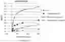 Fig. 02 - Materials and methods for producing improved lentiviral vector particles
