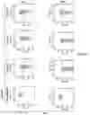 Fig. 10 - Materials and methods for producing improved lentiviral vector particles