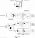 Fig. 17 - Materials and methods for producing improved lentiviral vector particles