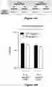Fig. 20 - Materials and methods for producing improved lentiviral vector particles