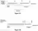 Fig. 24 - Materials and methods for producing improved lentiviral vector particles