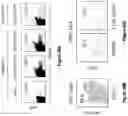 Fig. 28 - Materials and methods for producing improved lentiviral vector particles