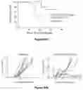 Fig. 35 - Materials and methods for producing improved lentiviral vector particles