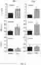 Fig. 05 - TERT immunogenic compositions and methods of treatment using the same