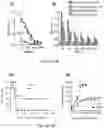 Fig. 06 - TERT immunogenic compositions and methods of treatment using the same