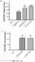 Fig. 14 - TERT immunogenic compositions and methods of treatment using the same