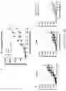 Fig. 25 - TERT immunogenic compositions and methods of treatment using the same