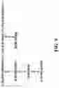 Fig. 10 - IMMUNOGENIC COMPOSITIONS