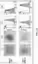 Fig. 14 - IMMUNOGENIC COMPOSITIONS
