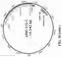 Fig. 19 - IMMUNOGENIC COMPOSITIONS