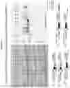 Fig. 16 - Modified RSV F proteins and methods of their use