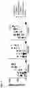 Fig. 05 - Compositions and methods for inducing protective immunity against human immunodeficiency virus infection