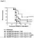 Fig. 04 - Financial Method