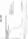 Fig. 23 - METHODS OF TREATING LUNG CANCER WITH A PD-1 AXIS BINDING ANTAGONIST, A PLATINUM AGENT, AND A TOPOISOMERASE II INHIBITOR