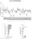 Fig. 03 - ENGINEERED LIGHT-ACTIVATED ANION CHANNEL PROTEINS AND METHODS OF USE THEREOF
