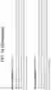 Fig. 30 - ENGINEERED LIGHT-ACTIVATED ANION CHANNEL PROTEINS AND METHODS OF USE THEREOF