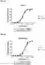 Fig. 03 - ROR1 Antibody Immunoconjugates