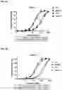 Fig. 04 - ROR1 Antibody Immunoconjugates