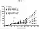 Fig. 19 - ROR1 Antibody Immunoconjugates