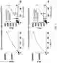 Fig. 04 - Quinone-containing conjugates
