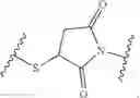 Fig. 17 - Quinone-containing conjugates