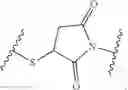 Fig. 41 - Quinone-containing conjugates