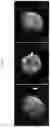 Fig. 07 - Cellular Targeted Label Delivery System