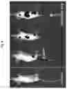 Fig. 11 - Cellular Targeted Label Delivery System