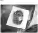 Fig. 02 - Hemostatic sponge
