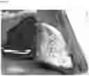 Fig. 09 - Hemostatic sponge