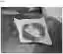 Fig. 10 - Hemostatic sponge
