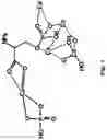 Fig. 02 - Soft tissue adhesive composition of α-TCP and phosphorylated amino acid
