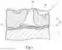Fig. 02 - Method for producing antibacterial biological implant