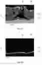 Fig. 04 - Method for producing antibacterial biological implant
