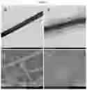Fig. 02 - ONE-STEP FORMED GEL FIBER COMPOSITE SCAFFOLD MATERIAL AND PREPARATION METHOD AND USE THEREOF