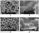 Fig. 01 - Extracellular matrix-derived gels and related methods