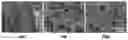 Fig. 01 - Biodegradable, porous, thermally responsive injectable hydrogel as soft tissue defect filler