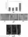 Fig. 03 - Biodegradable, porous, thermally responsive injectable hydrogel as soft tissue defect filler