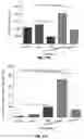 Fig. 12 - Biodegradable, porous, thermally responsive injectable hydrogel as soft tissue defect filler