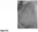 Fig. 02 - Nanofiber-hydrogel composites for cell and tissue delivery