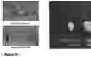 Fig. 26 - Nanofiber-hydrogel composites for cell and tissue delivery